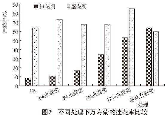不同处理对万寿菊盆栽生长性状的影响