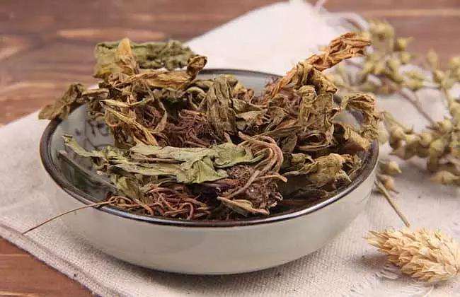 黄芪盆栽的拮抗芽孢杆菌防效试验 图片