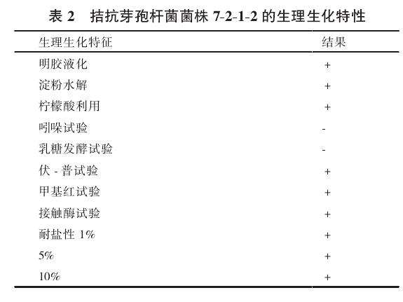 不同菌株对黄芪盆栽有什么影响 图片