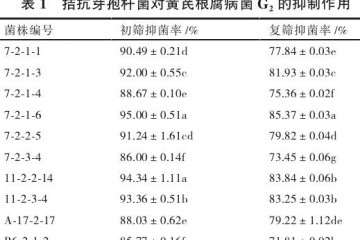 不同菌株对黄芪盆栽有什么影响 图片