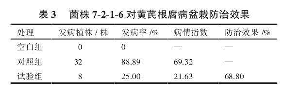 菌株对黄芪根腐病盆栽防效测定结果