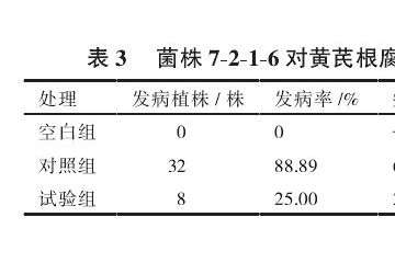 菌株对黄芪根腐病盆栽防效测定结果