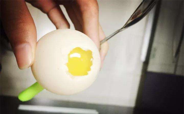 图解 蛋壳怎么种多肉植物的方法