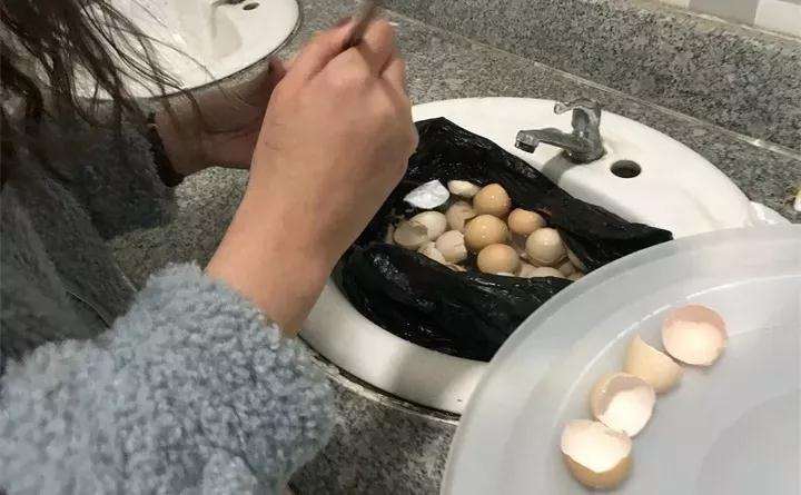 图解 蛋壳怎么种多肉植物的方法