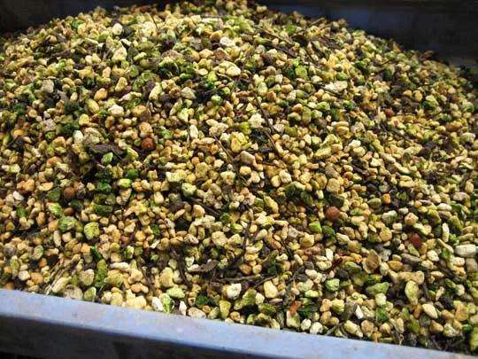 纯颗粒土壤怎么栽培多肉植物的方法 图片