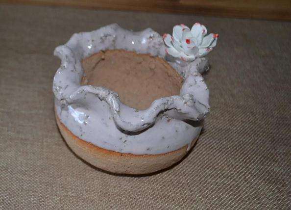 分享2种正确的多肉修根方法 图片