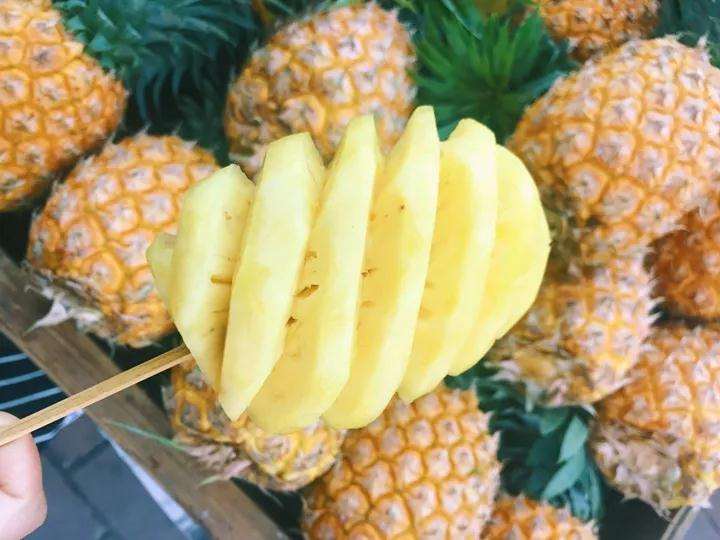 春季 多肉植物长虫子 怎么办 图片