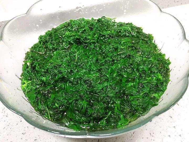 春季 多肉植物长虫子 怎么办 图片