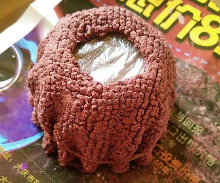 图解 怎么用毛巾水泥做多肉植物的花盆