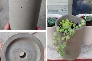 怎么用塑料杯水泥做多肉花盆 图片