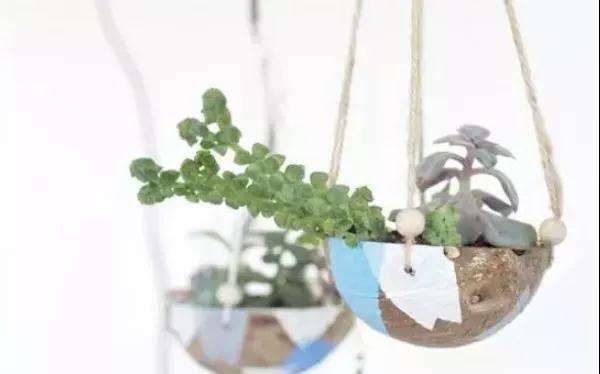 怎么用椰子壳制作多肉花盆的方法 图片