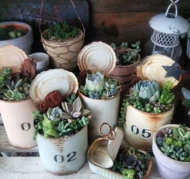 怎么用罐头制作多肉花盆的方法 图片