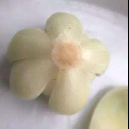 多肉植物化水 是不是浇水过多引起的 图片