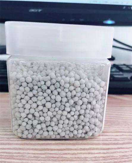 为什么多肉植物要加点缓释肥 图片