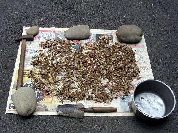 为什么多肉植物盆里 要加点骨头粉 图片