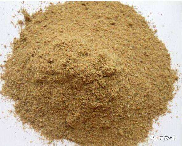 为什么多肉植物盆里 要加点骨头粉 图片