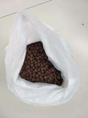 为什么多肉植物盆里加点陶粒 图片