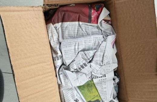 实体店和网店购买多肉植物 哪个好 图片