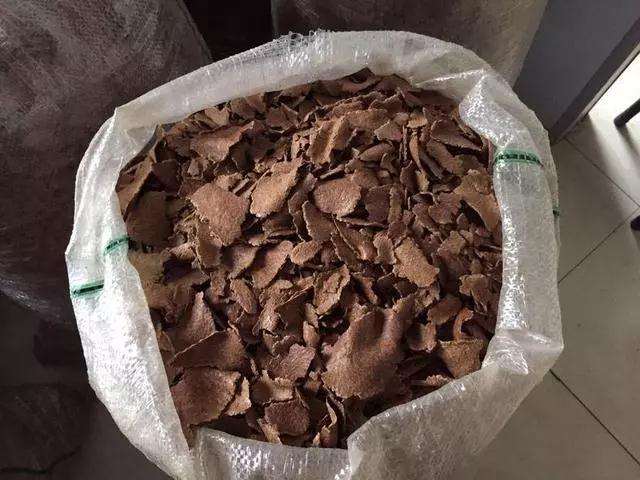 为什么放花生麸 多肉可以快速生长 图片