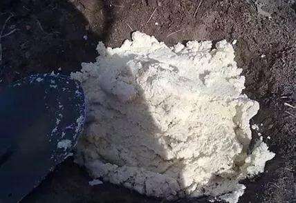 为什么多肉盆里 加入豆渣 生长效果好