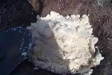 为什么多肉盆里 加入豆渣 生长效果好