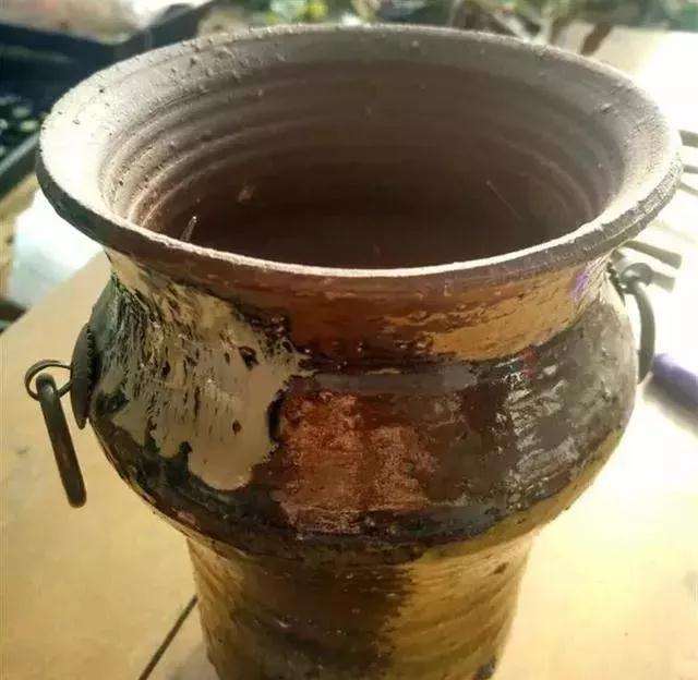 多肉老桩怎么换盆的过程