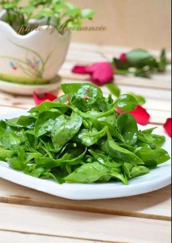 牡丹吊兰多肉怎么食用的方法 图片 	