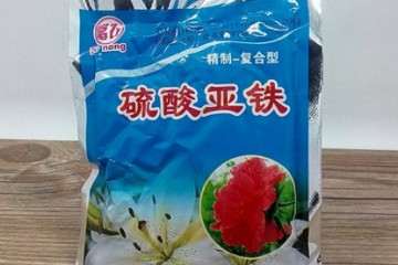 怎么用硫酸亚铁改变多肉土壤的方法
