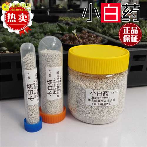 多肉小白药是什么 怎么使用 图片