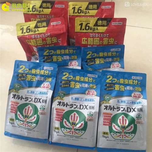 多肉小白药是什么 怎么使用 图片