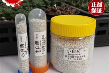 多肉小白药是什么 怎么使用 图片
