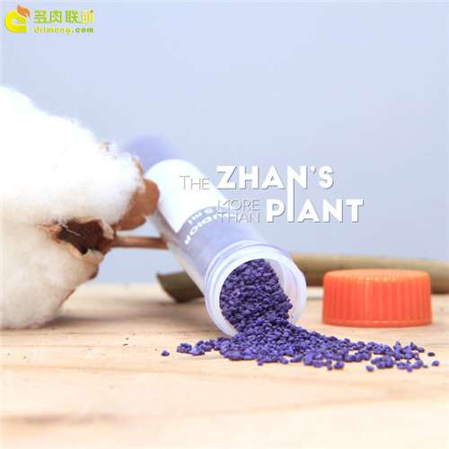 多肉小紫药是什么 怎么使用 图片 