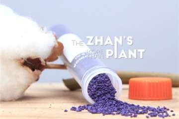 多肉小紫药是什么 怎么使用 图片