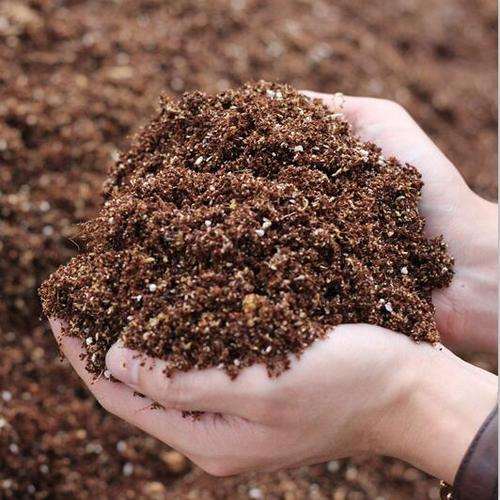 怎么买到便宜的多肉土 有什么方法