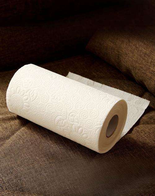 如何用纸巾叶插多肉植物的方法 图片