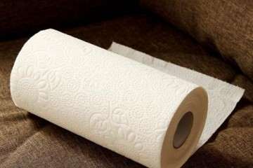 如何用纸巾叶插多肉植物的方法 图片