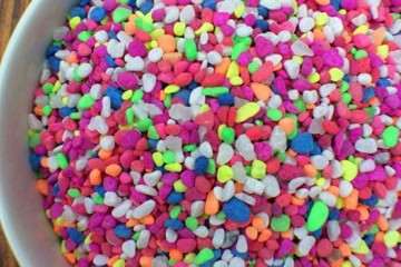 为什么多肉铺面建议不要用彩虹石 图片