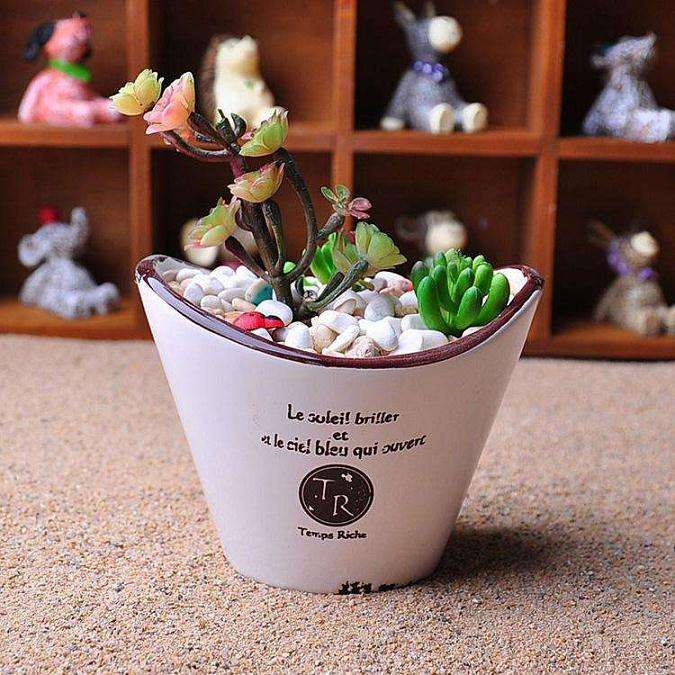 多肉植物可以使用紫砂盆吗 透气吗