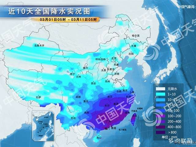为什么春天多肉淋雨基本上是安全