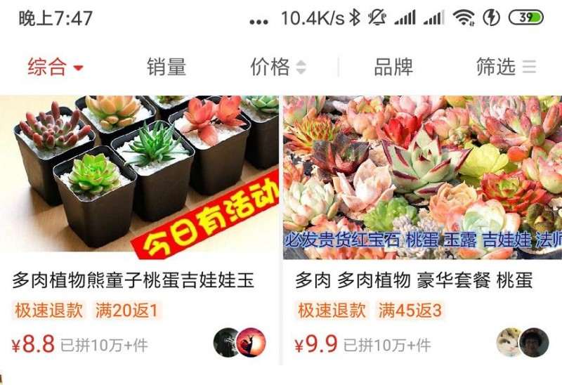 拼多多上的多肉 竟然都是宿迁货 图片