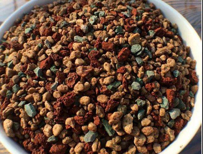 多肉铺面有什么实际作用 怎么铺 图片