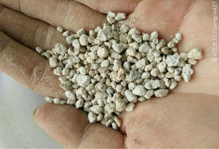 多肉植物用什么铺面比较好 图片