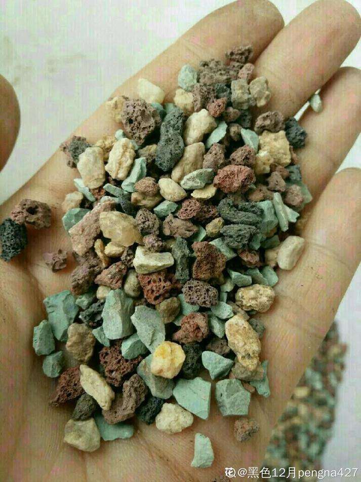 多肉植物用什么铺面比较好 图片