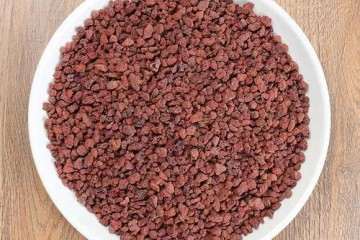 多肉植物用什么铺面比较好 图片