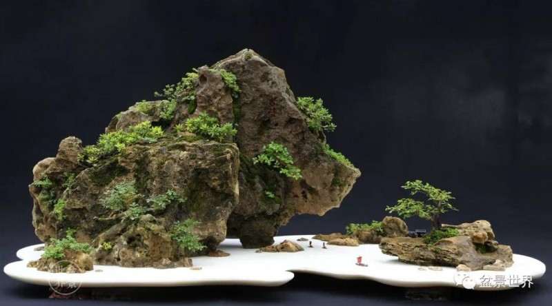 山东青年盆景艺术家 张志刚 图片