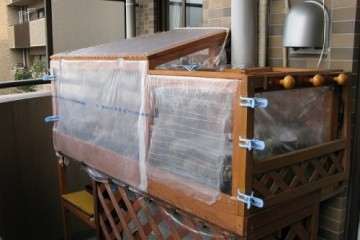 怎么制作家庭版多肉植物大棚的方法