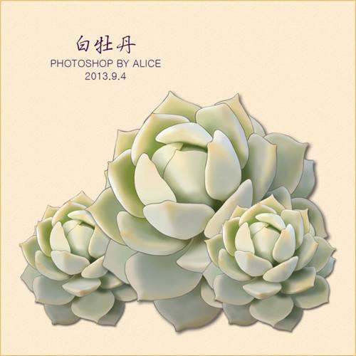 这些多肉植物怎么越冬的问题 图片