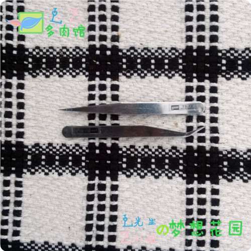 镊子,种植多肉好帮手 养护多肉植物通常用刀4个工具 图片