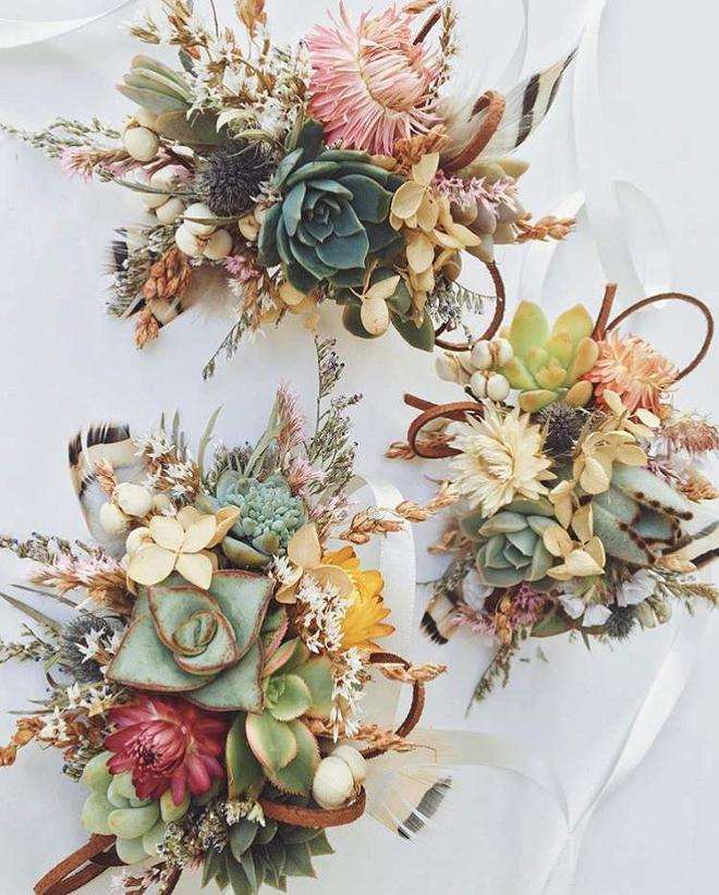 多肉植物怎么杀虫防鸟的方法 图片