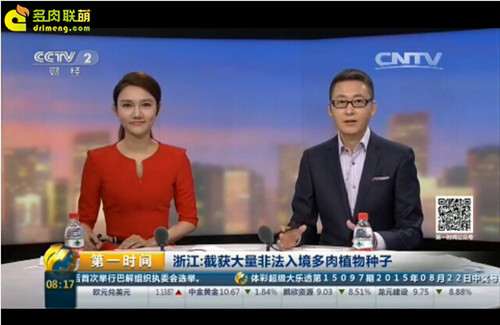 海淘多肉种子有哪些风险 图片